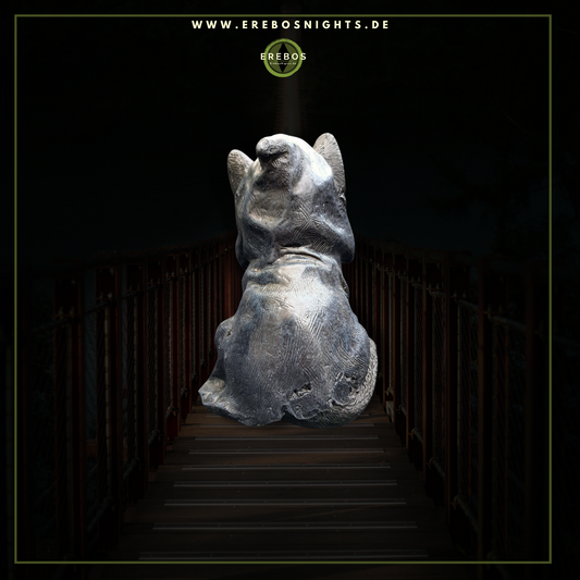 Santa-Miaute – Deine Lieblingskatze aus der Anderswelt (839-2036)