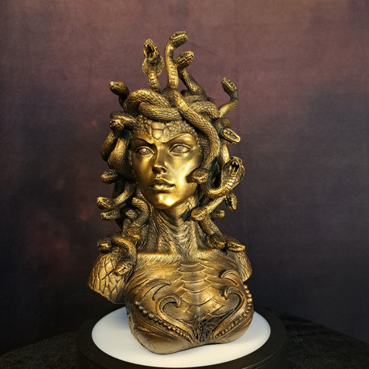 Medusa (766-7945)